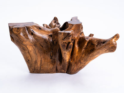 Sculptural Costa Rican Root Coffee Table Reserva Collection — No. 07