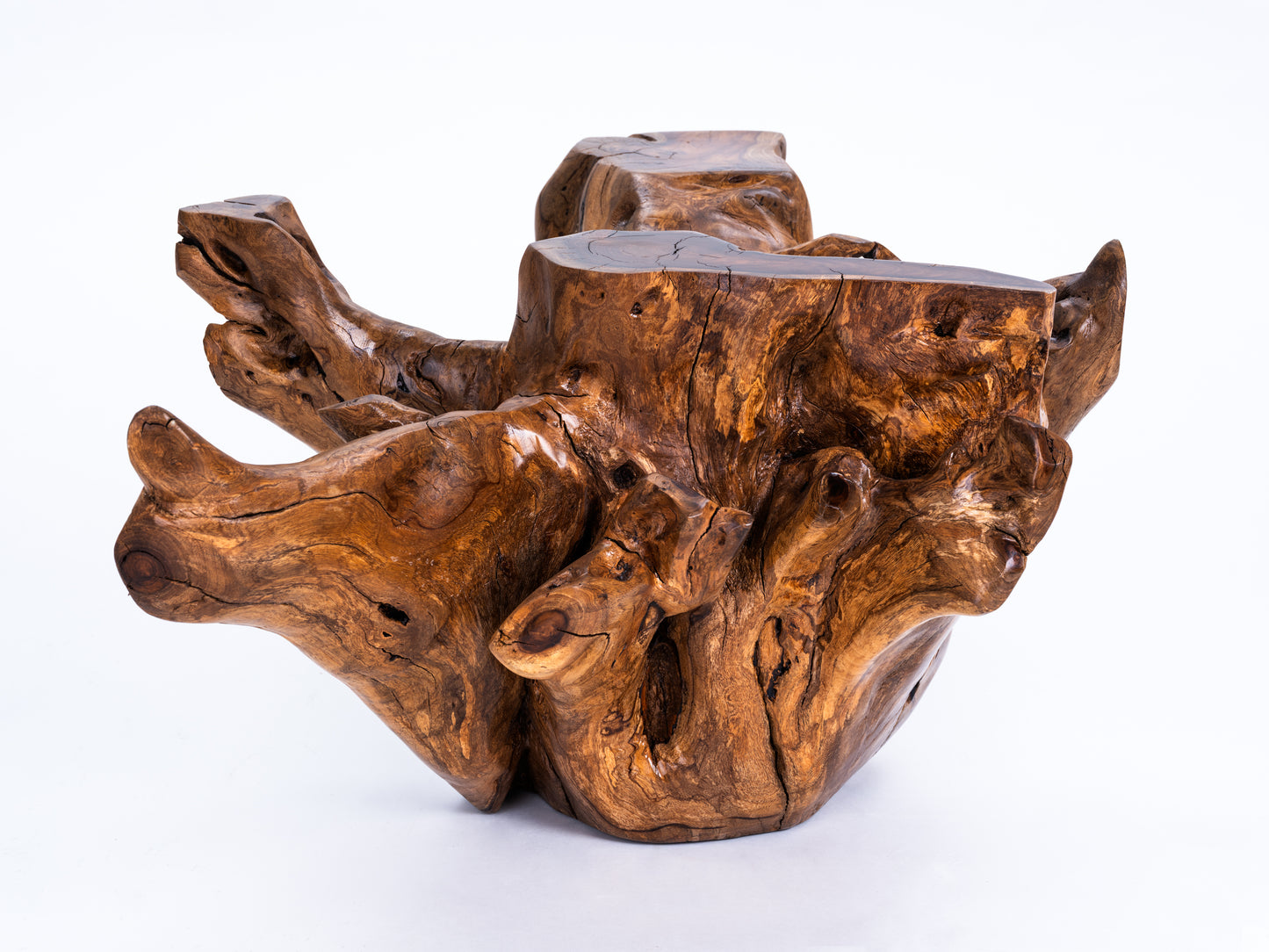Sculptural Costa Rican Root Coffee Table Reserva Collection — No. 07