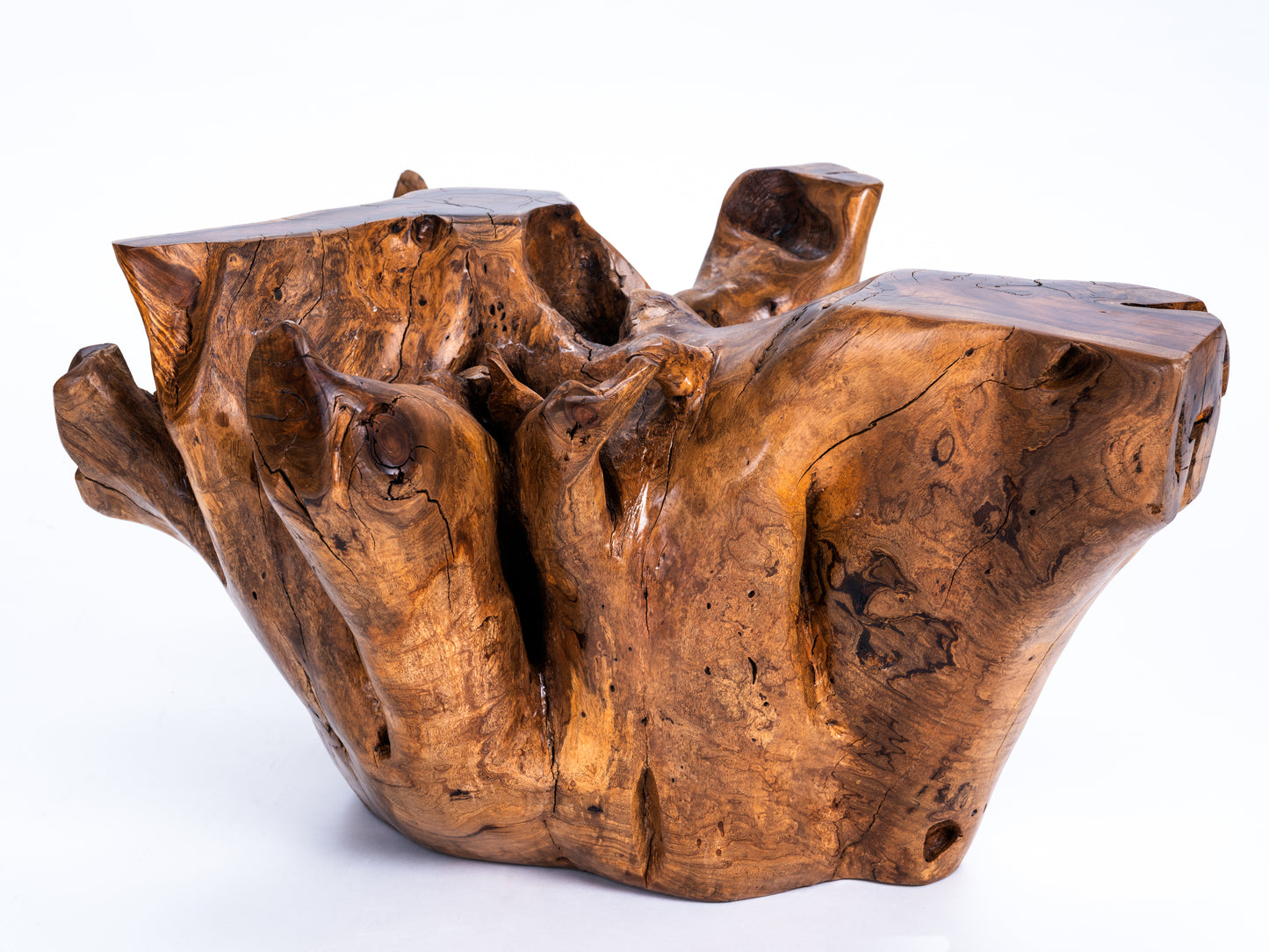 Sculptural Costa Rican Root Coffee Table Reserva Collection — No. 07