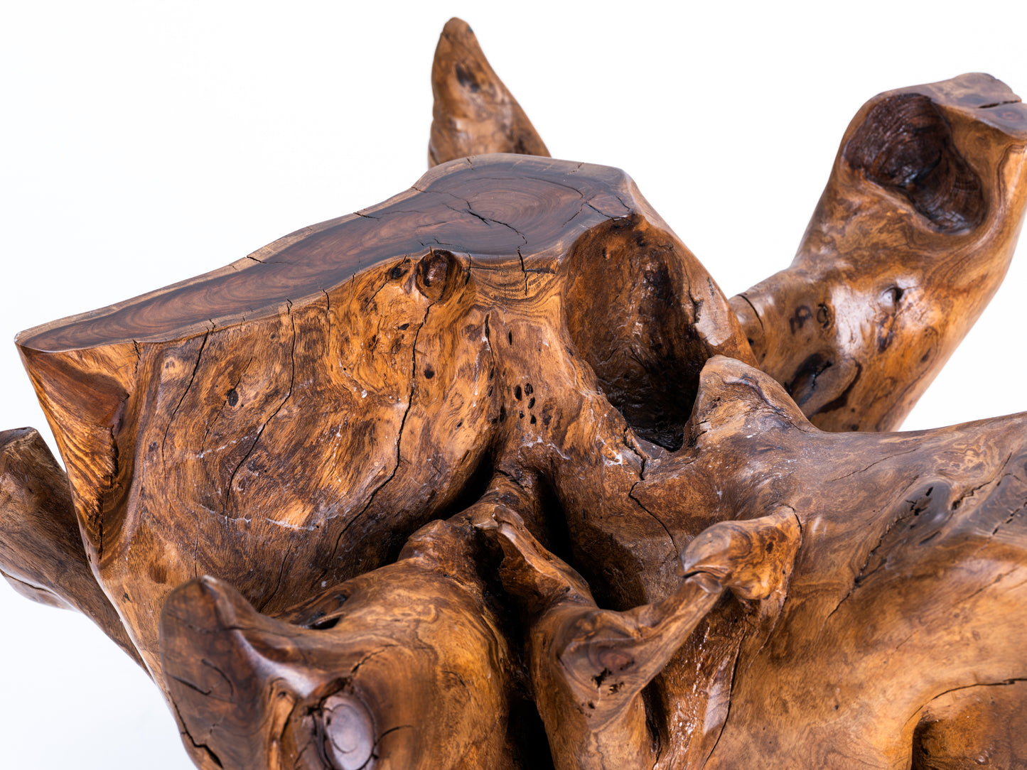 Sculptural Costa Rican Root Coffee Table Reserva Collection — No. 07