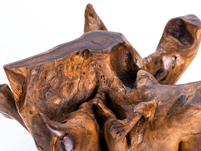 Sculptural Costa Rican Root Coffee Table Reserva Collection — No. 07