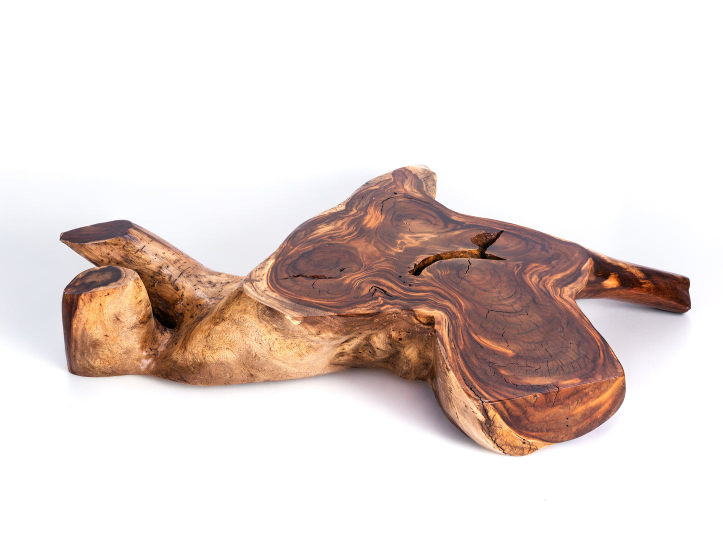 Sculptural Costa Rican Root Coffee Table Reserva Collection — No. 08