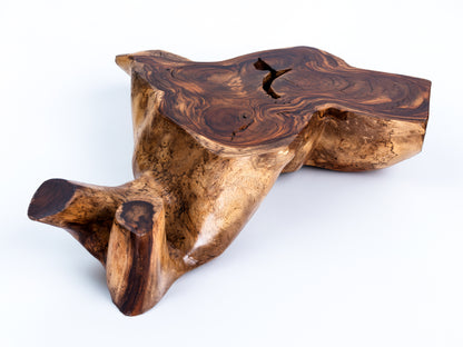 Sculptural Costa Rican Root Coffee Table Reserva Collection — No. 08