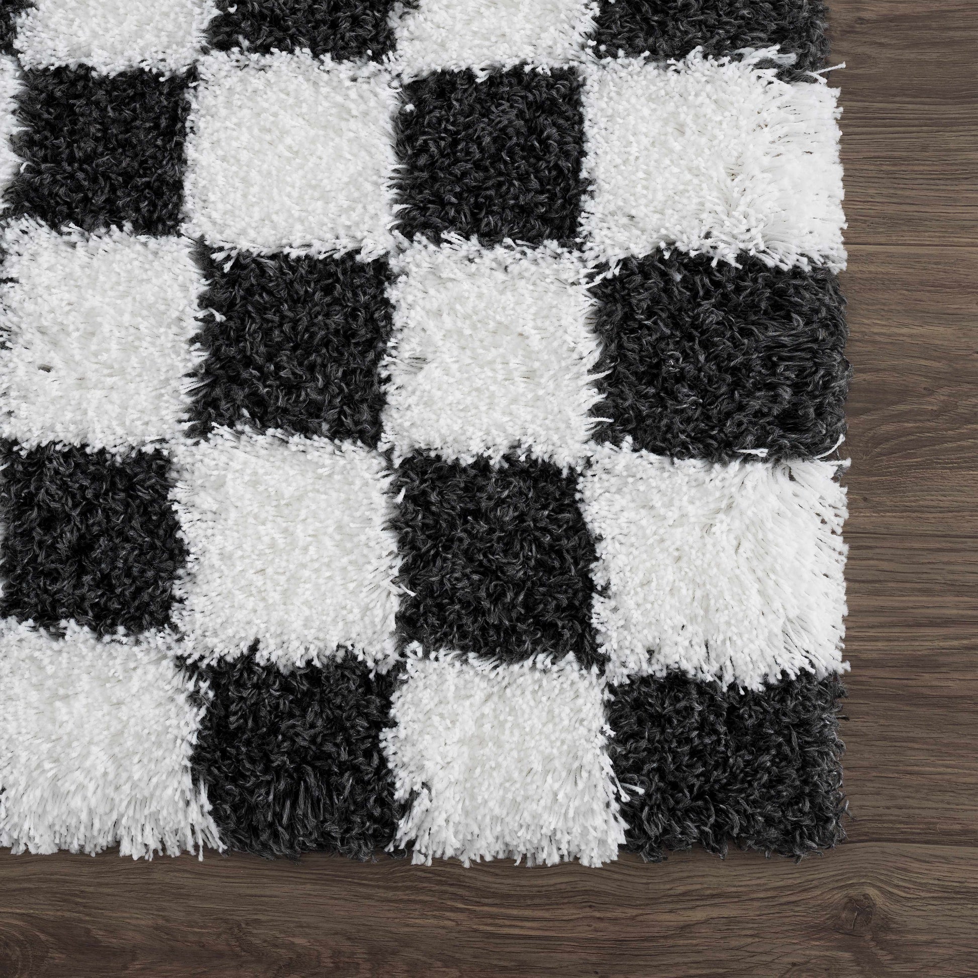 Atira Black & White Checkered Area Rug.