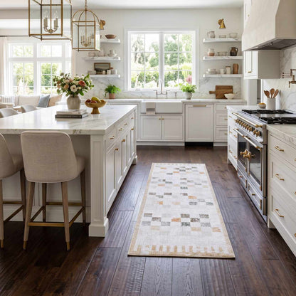 Kanika Checkered Area Rug