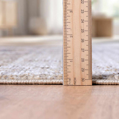 Fumiyo Bordered Area Rug