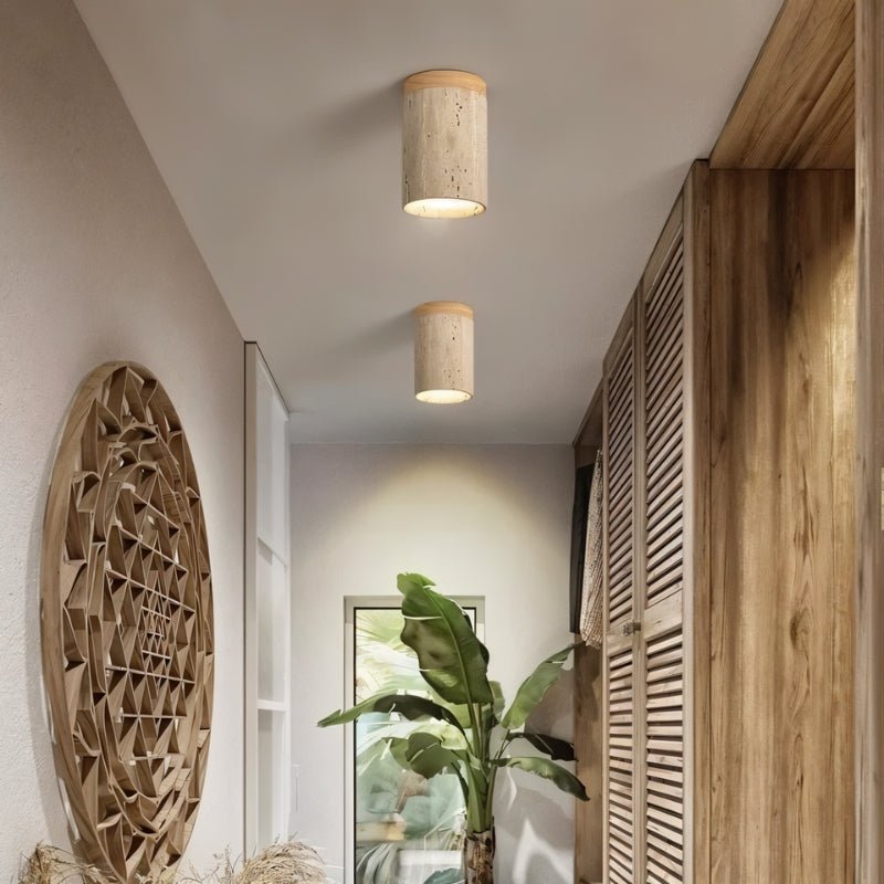 Alorium Ceiling Light.