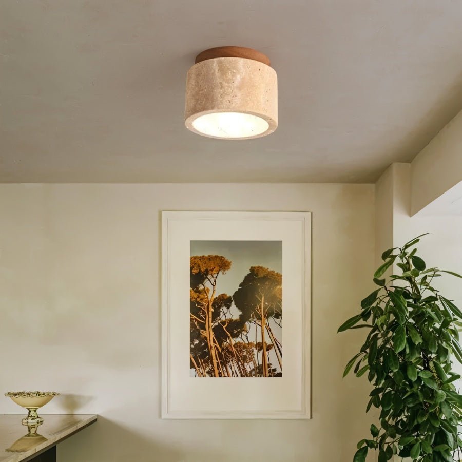 Alorium Ceiling Light.
