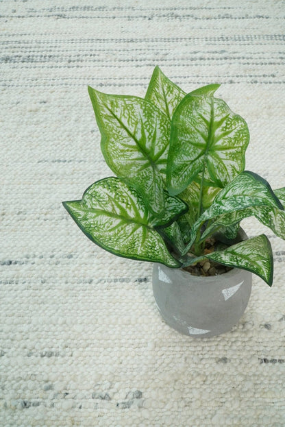 The Rug Decor Area Rug 5x8 Hand Made Woolen Chunky and Soft Ivory and Gray Area Rug Hand Made Woolen Chunky and Soft Ivory and Gray Area Rug