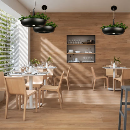 Aula Pendant Light.