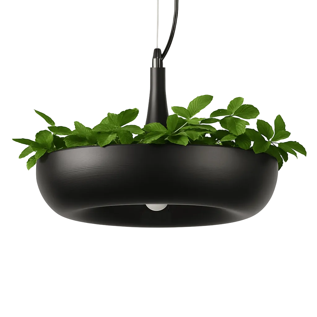 Aula Pendant Light.