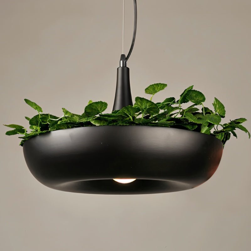 Aula Pendant Light.