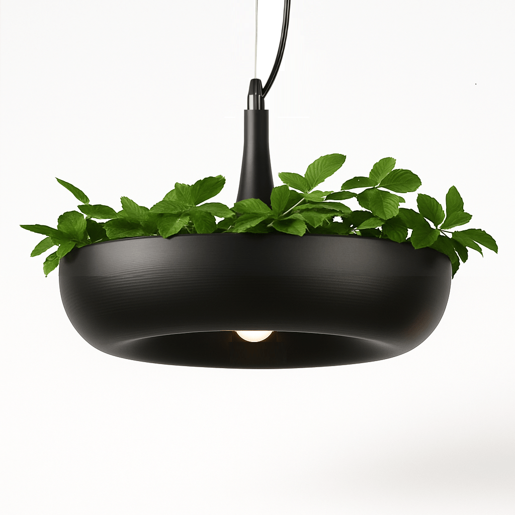 Aula Pendant Light.