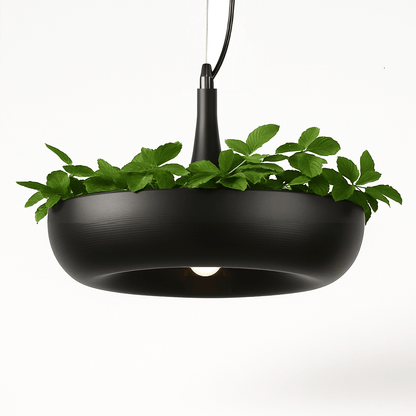 Aula Pendant Light.