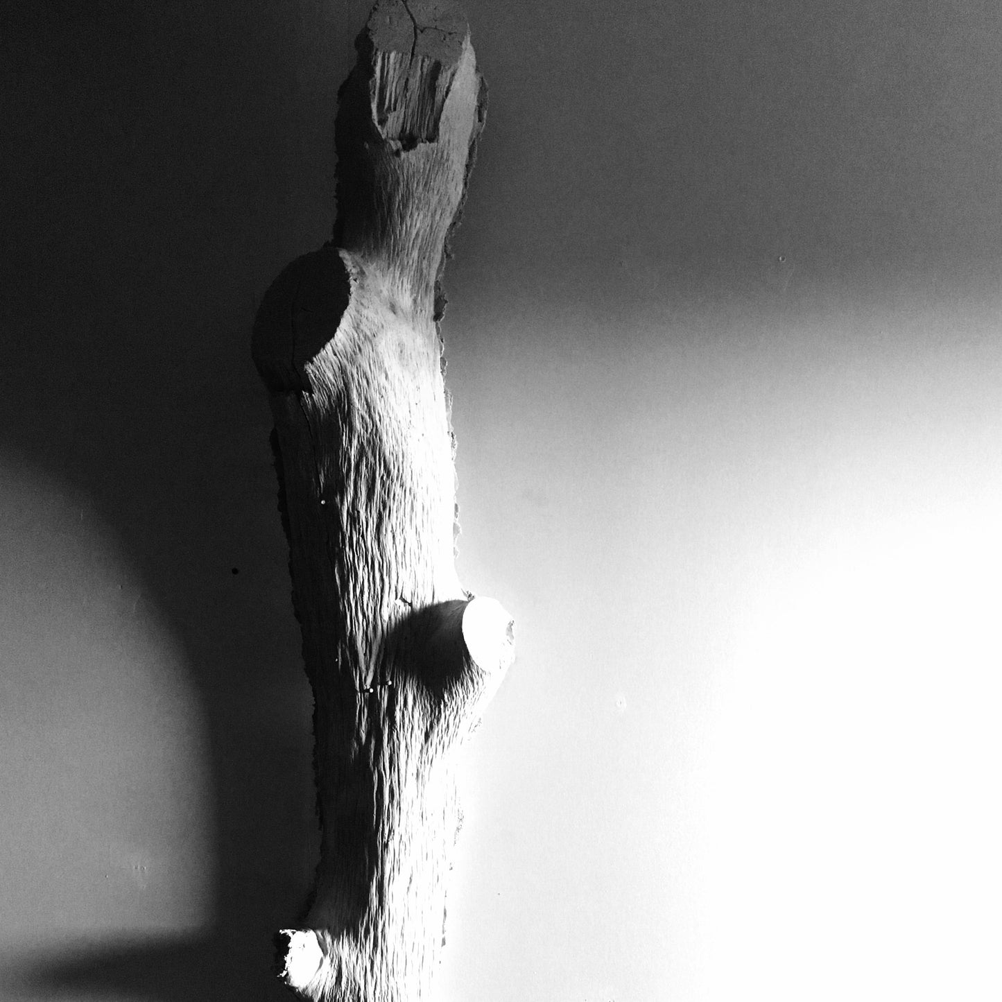 Light Weight Concrete Tree