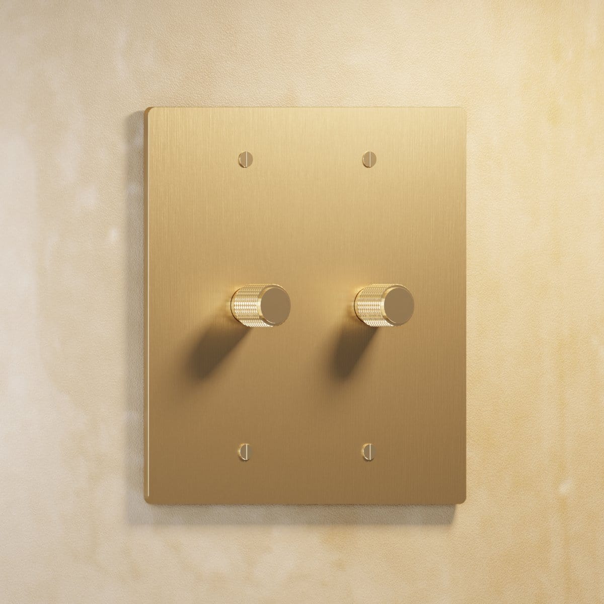 Residence Supply Brass Rotary Dimmer Switch (2-Gang)