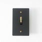 Residence Supply Night Black with Brass Brass Toggle Switch (1-Gang)