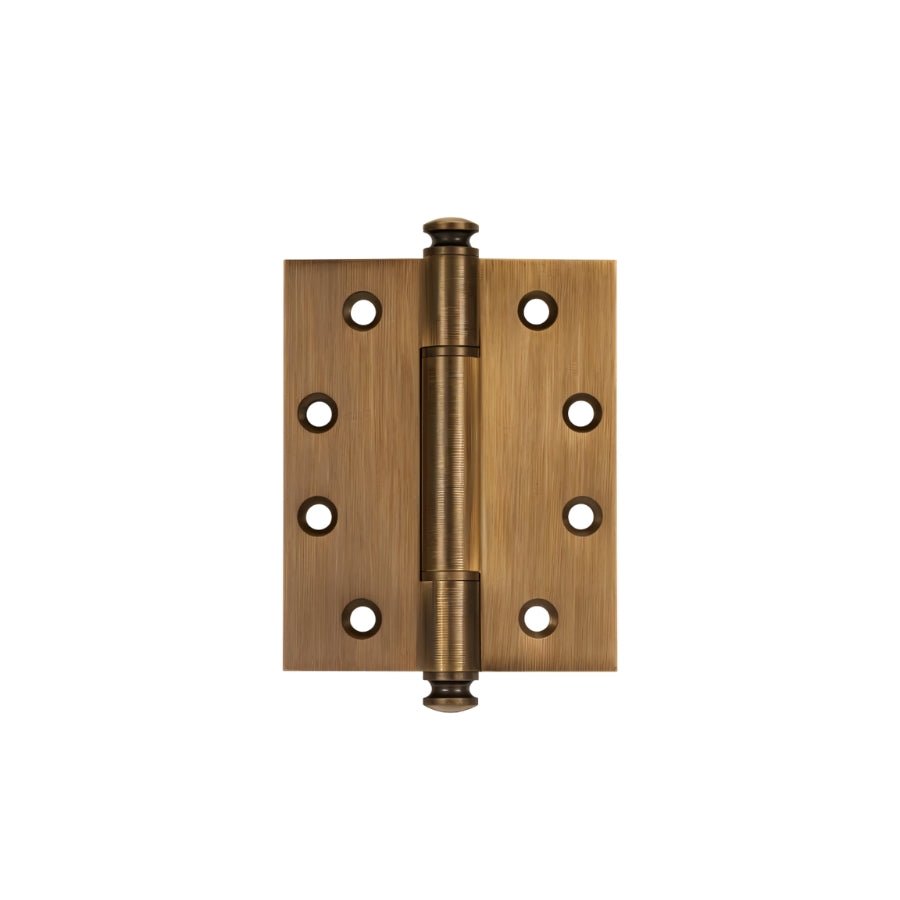 Carvin Door Hinge.