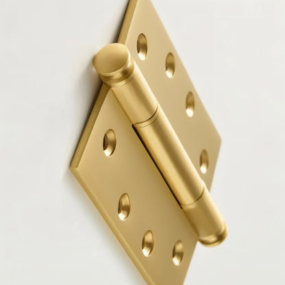 Carvin Door Hinge.