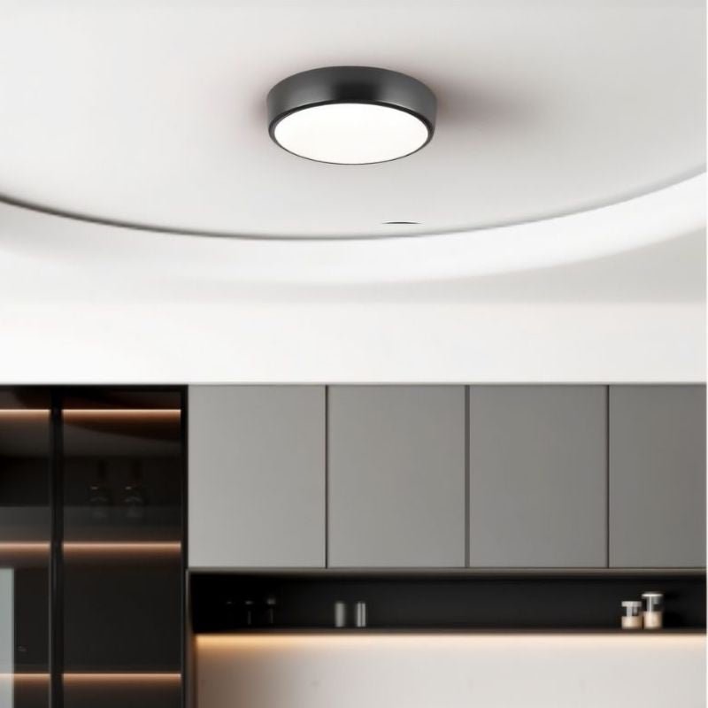 Viyan Ceiling Light.