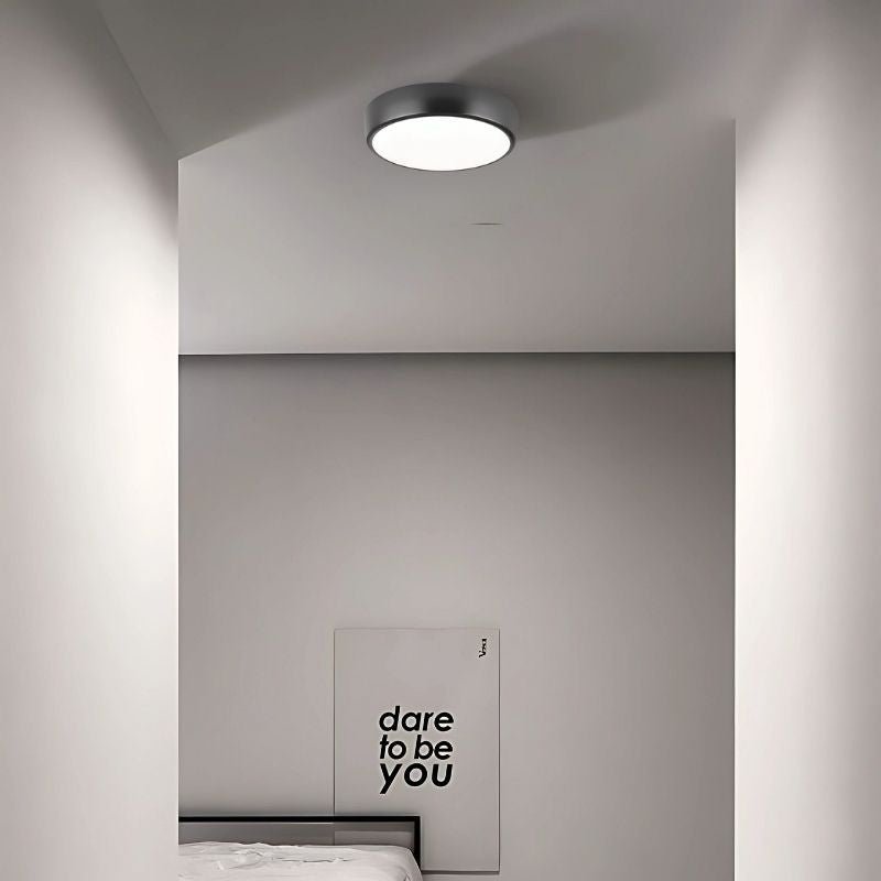 Viyan Ceiling Light.