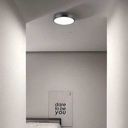 Viyan Ceiling Light.