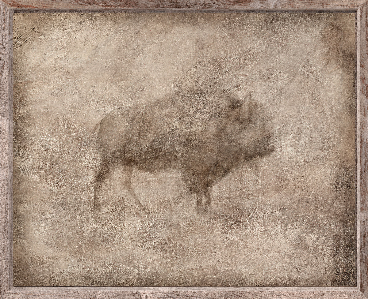 Animal Fresco, Bison framed canvas