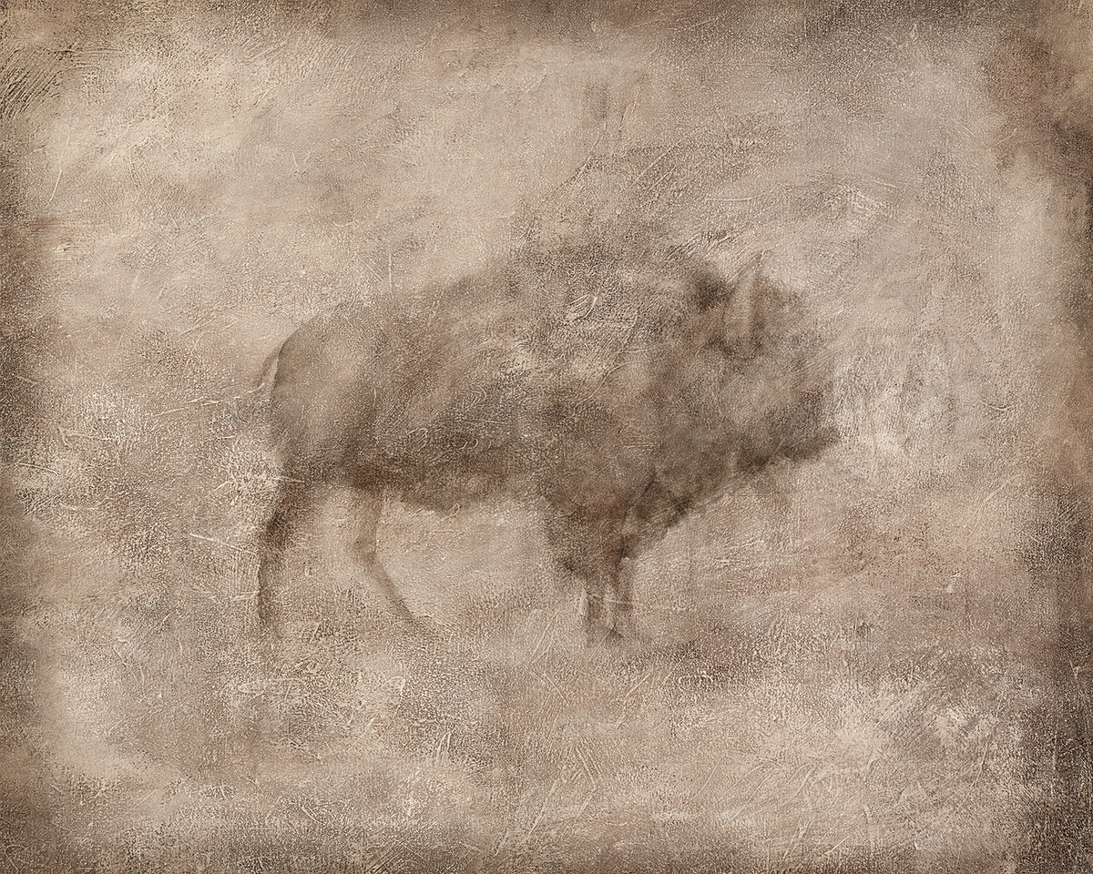 Animal Fresco, Bison gallery wrap canvas