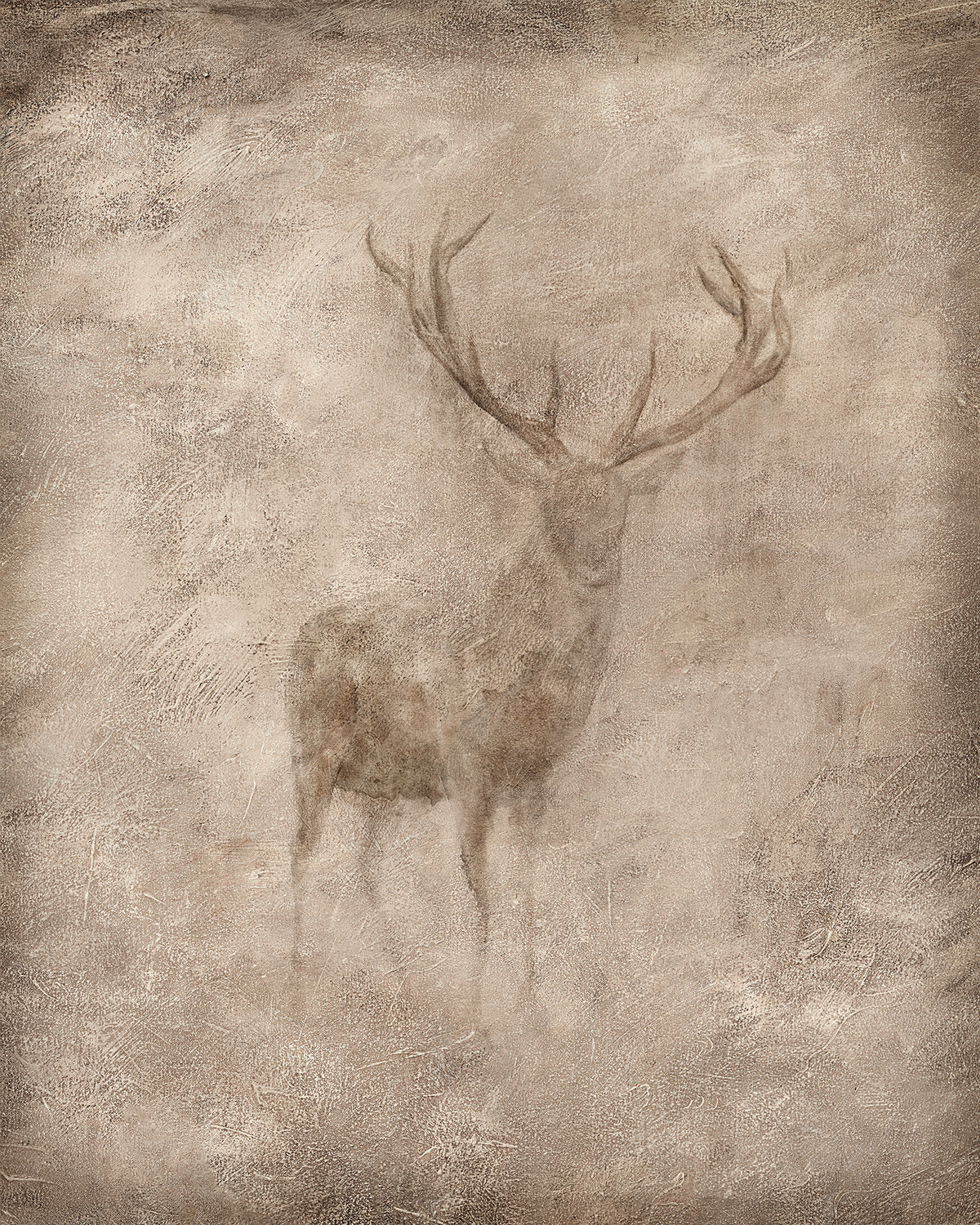 Animal Fresco, Stag gallery wrap canvas