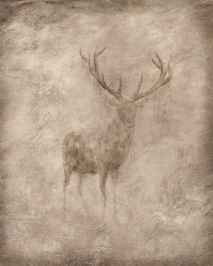Animal Fresco, Stag gallery wrap canvas