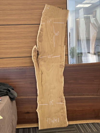 Losa de morera blanca de 80"