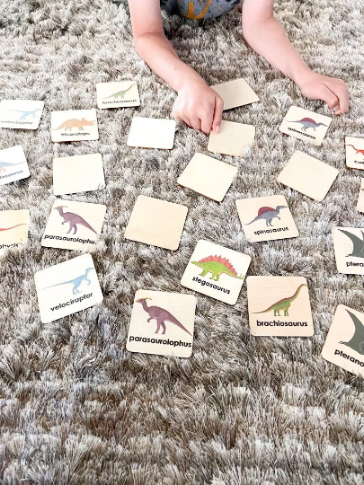 MEMORY GAME- Dinosaur v1