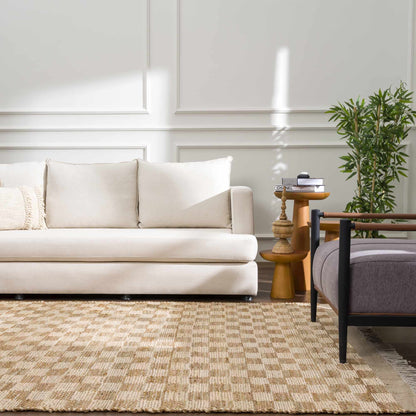 Ionut Checkered Jute Area Rug.