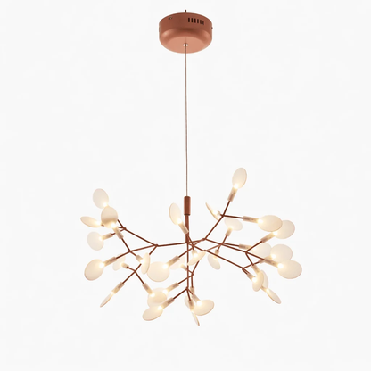 Heracleum Chandelier