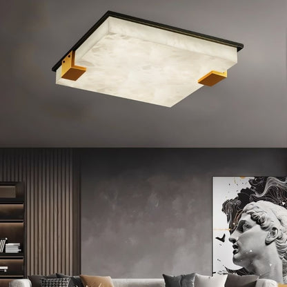 Exorin Ceiling Light