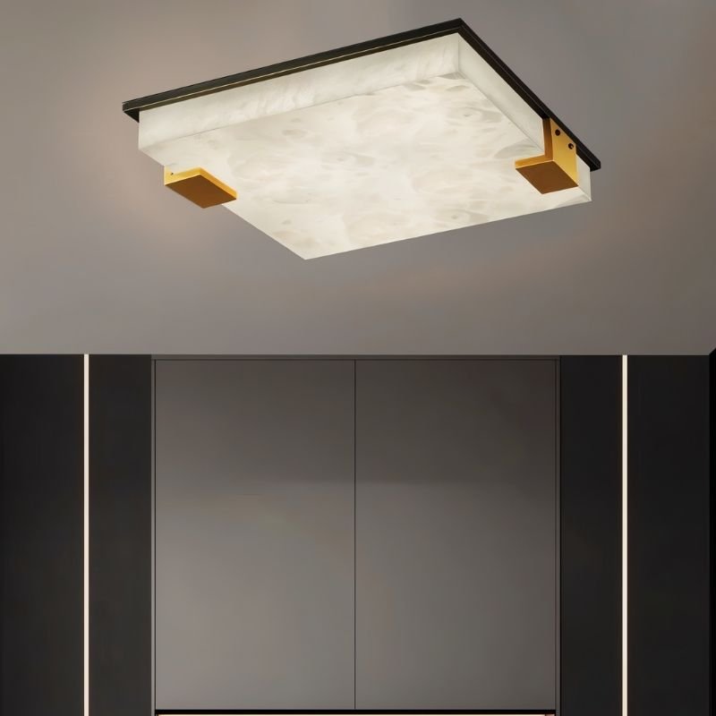 Exorin Ceiling Light