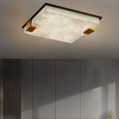 Exorin Ceiling Light