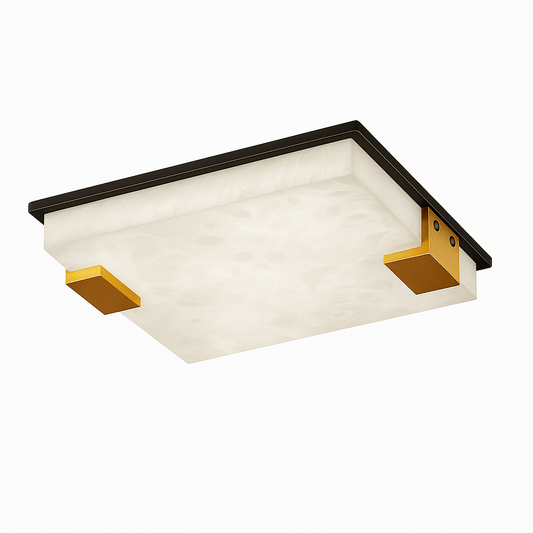 Exorin Ceiling Light