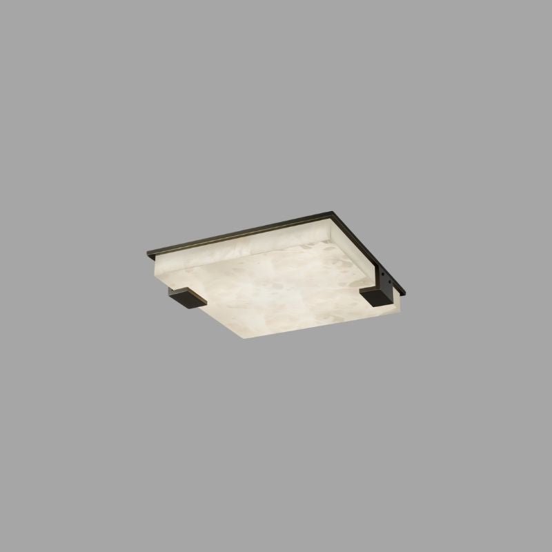 Exorin Ceiling Light