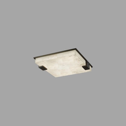 Exorin Ceiling Light
