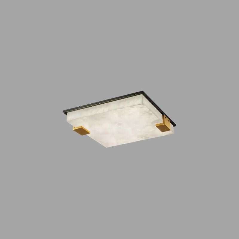 Exorin Ceiling Light
