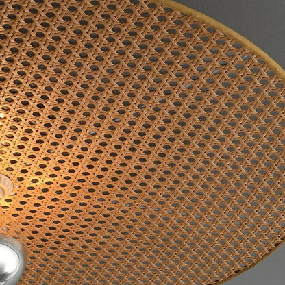 Falari Wall Lamp.