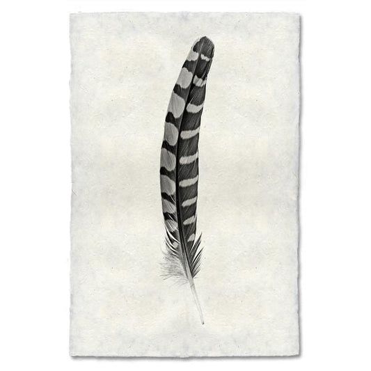 BARLOGA STUDIOS- fine photographs on intriguing papers Feathers Feather Study #12 (Partridge Wing)