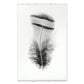 BARLOGA STUDIOS- fine photographs on intriguing papers Feathers Feather Study #15 (Chuckar Partridge)