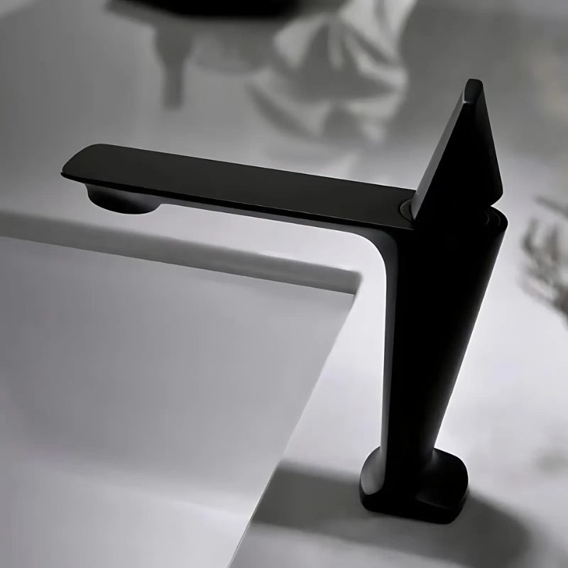 Fenu Bathroom Faucet