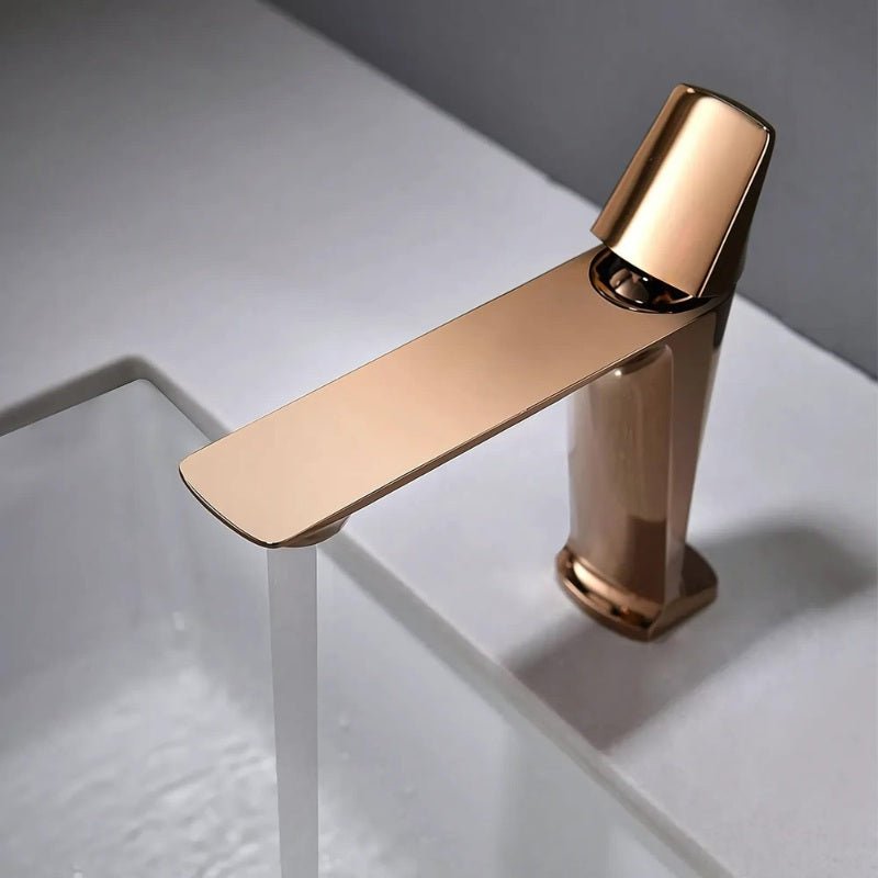 Fenu Bathroom Faucet