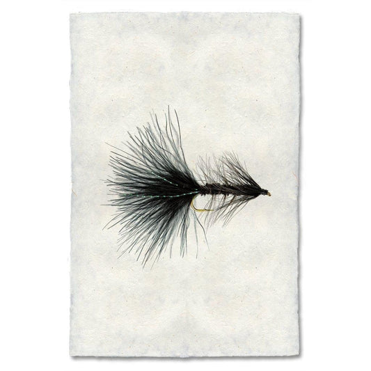BARLOGA STUDIOS- fine photographs on intriguing papers Fishing Flies Woolly Bugger