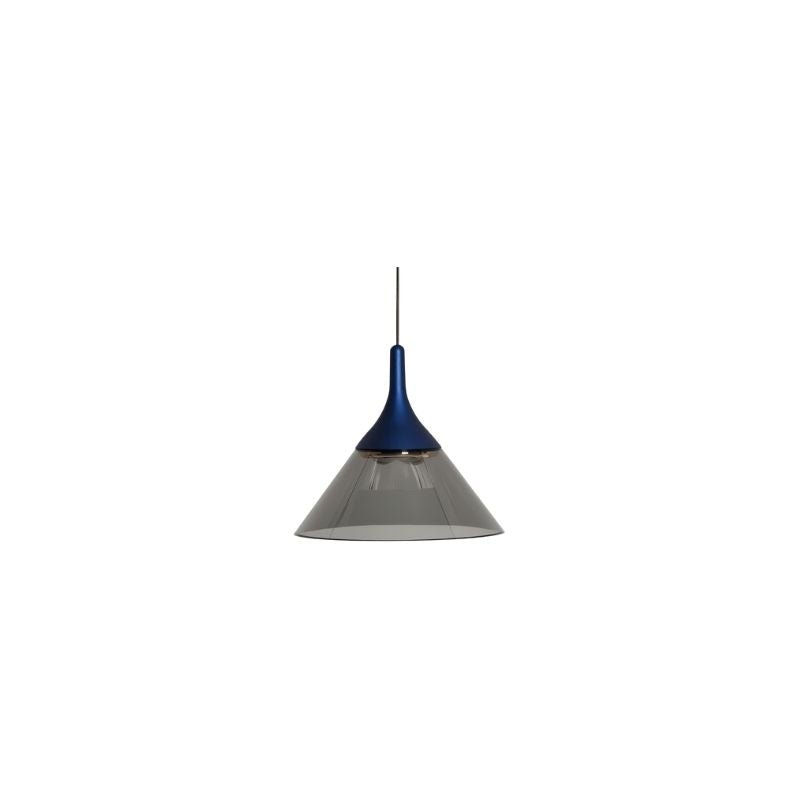 Fluvic Pendant Light