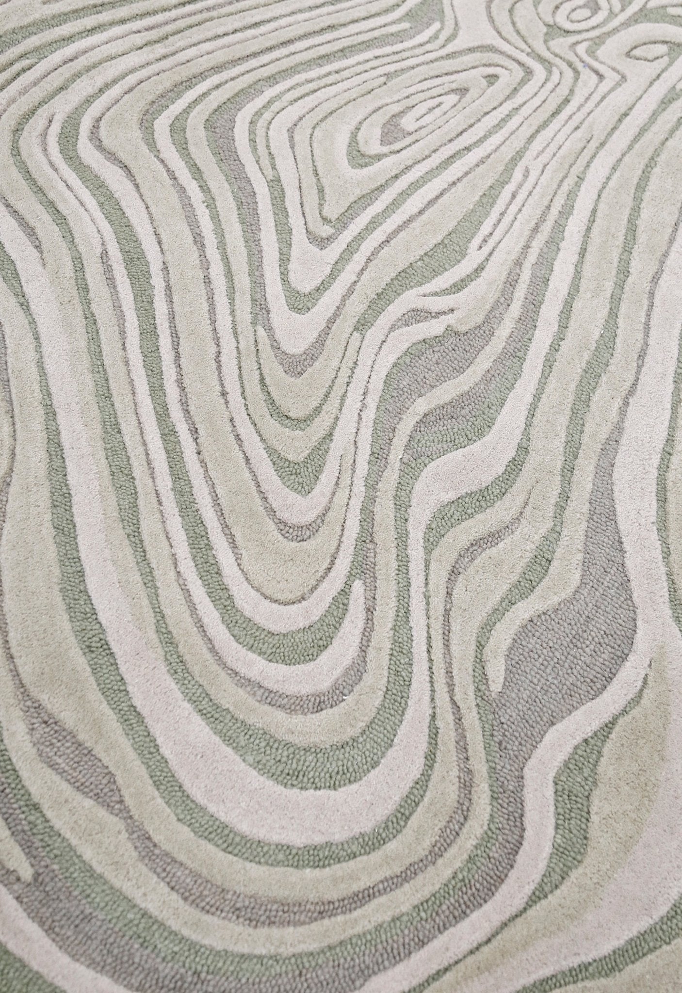 Fossil Modern Style Ivory Hand Tufted 5x7 Wool Rug