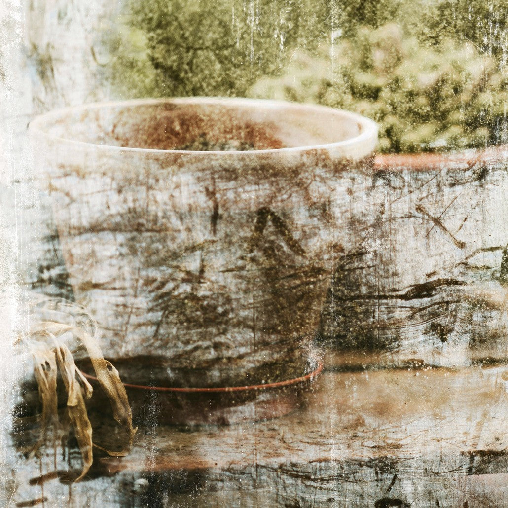 Greenhouse Series IV